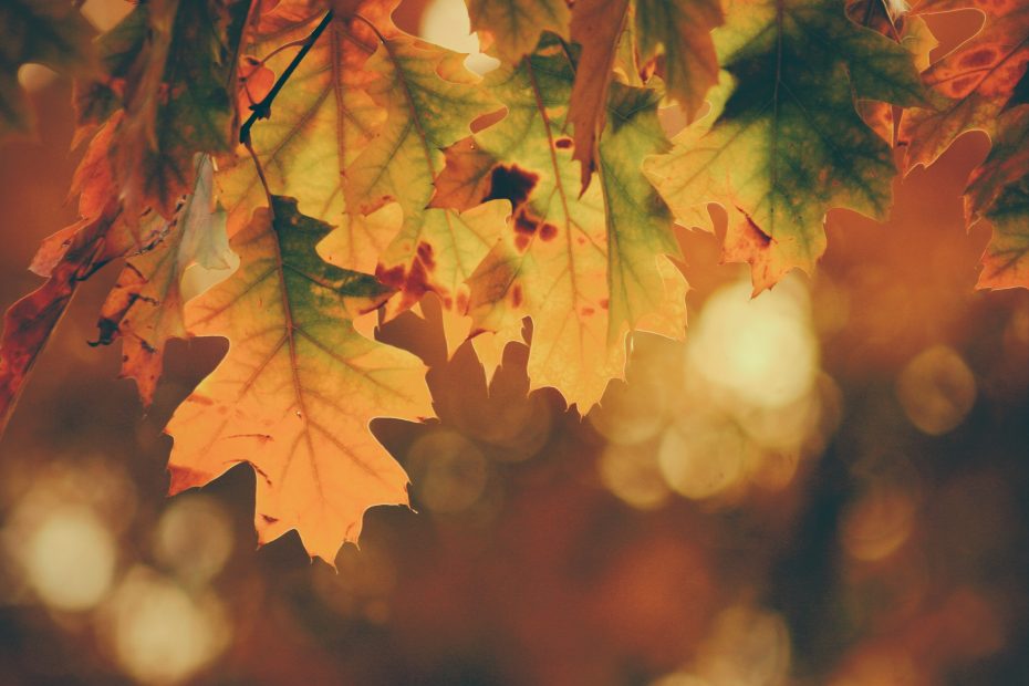 Autumn clock change