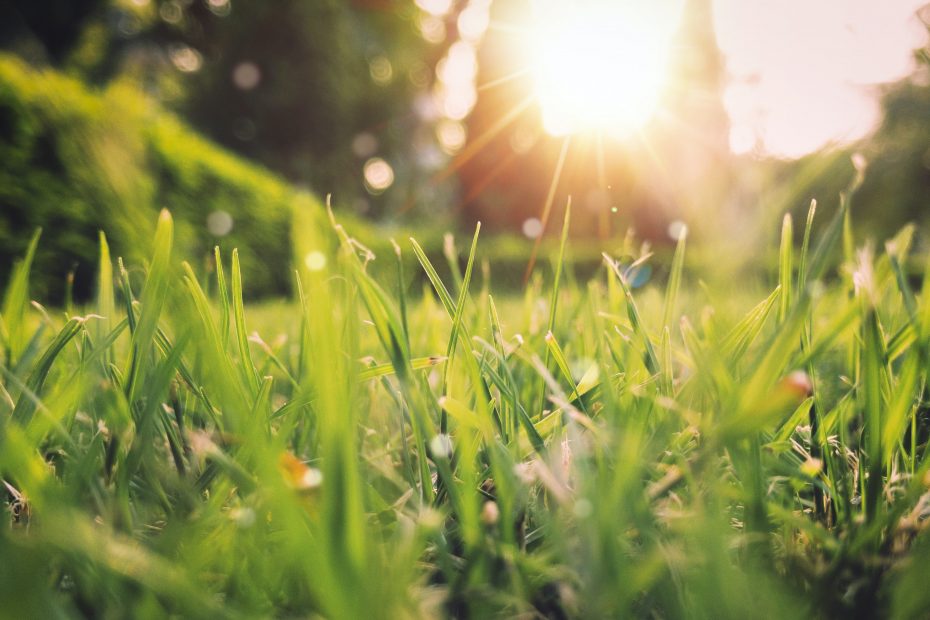 Spring clock change for children