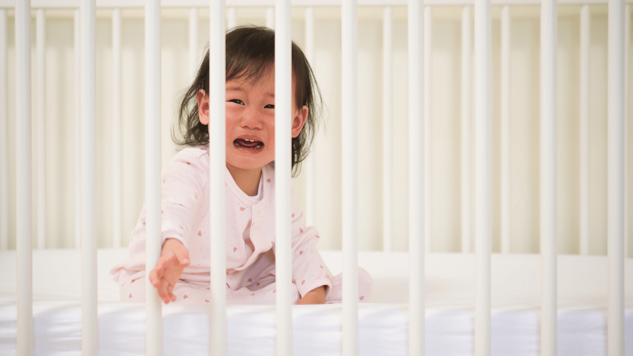baby sitting in cot awake and crying because of separation anxiety